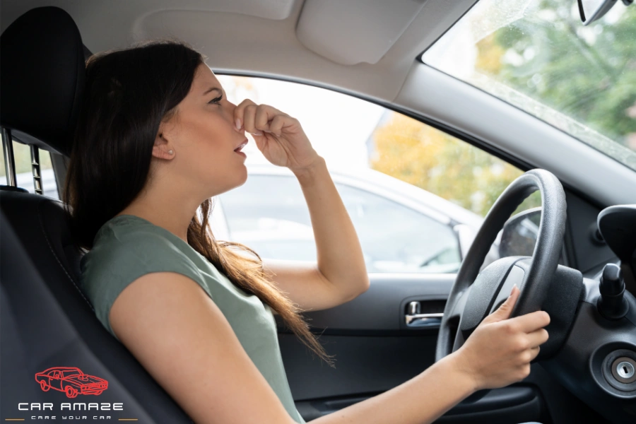 How to Get Mildew Smell Out of Car