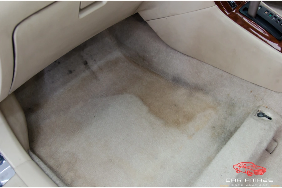 Signs of mildew in cars