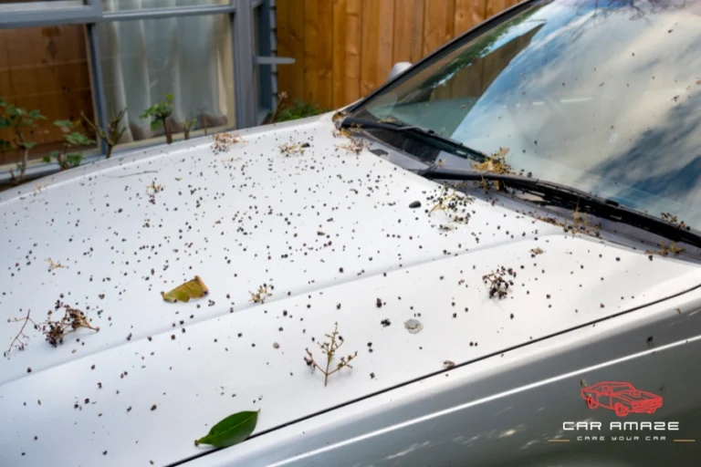 How to Remove Tree Sap from Car