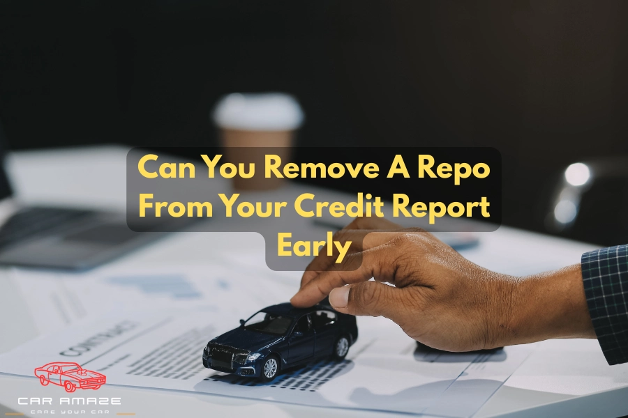 Can you remove a repo from your credit report early